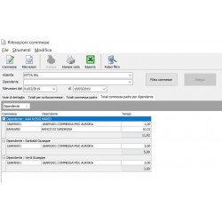 Tulip Software Gestione Commesse