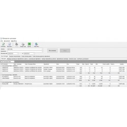 Tulip Software Gestione Commesse