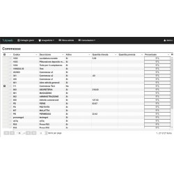 Tulip Software Commesse Web