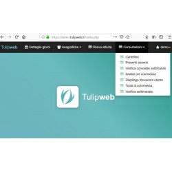 Software Presenze Tulip Web