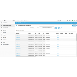 Console Web Tulip Mobile Timbrature presenze GPS