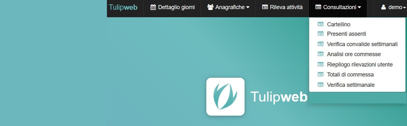 Tulip Web Presenze
